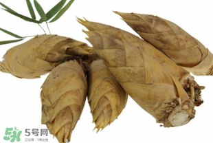 竹筍什么時(shí)候長(zhǎng)出來(lái)？竹筍幾月份長(zhǎng)出來(lái)？