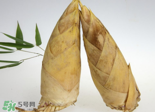 竹筍什么時(shí)候長(zhǎng)出來(lái)？竹筍幾月份長(zhǎng)出來(lái)？