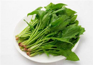 孕婦可以吃菠菜嗎？孕婦菠菜吃多了會怎樣？