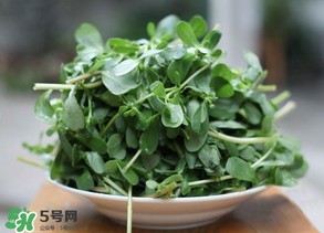 馬齒莧能治白發(fā)嗎？馬齒莧可以治白發(fā)嗎？