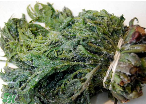 香椿腌制多久可以吃？香椿腌多長時間能吃？