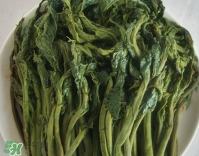 香椿腌制多久可以吃？香椿腌多長時間能吃？