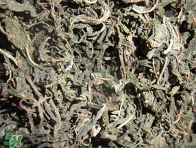 香椿可以曬干嗎？香椿怎么曬干？