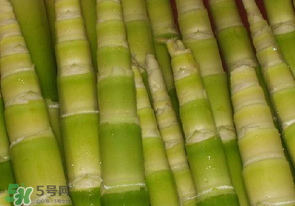 竹筍不焯水有毒嗎？竹筍不過(guò)水能吃嗎？