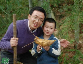 竹筍什么時(shí)候挖？竹筍幾月挖？