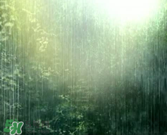 四月份會一直下雨嗎？2017年四月份為什么一直下雨？