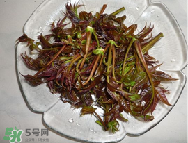涼拌香椿要過水嗎？香椿涼拌前需要用開水焯一下嗎？