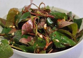 魚腥草根和葉哪個好？魚腥草根好還是葉子好