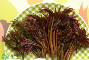 香椿芽可以冷凍嗎？香椿芽怎么冷凍？