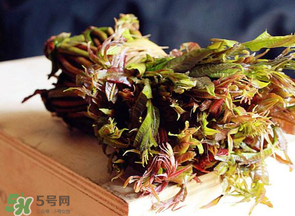香椿很貴嗎？香椿為什么那么貴？