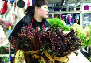 香椿很貴嗎？香椿為什么那么貴？