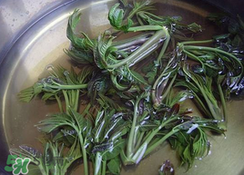 香椿為什么要用開(kāi)水燙？香椿用開(kāi)水燙多久？