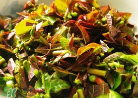 香椿為什么要用開(kāi)水燙？香椿用開(kāi)水燙多久？