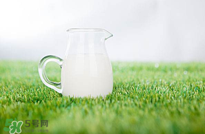 香椿可以和牛奶一起吃嗎？香椿和牛奶能一起吃嗎？