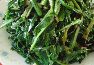 苦苦菜是什么菜？苦苦菜是苦苣嗎