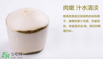 孕婦能不能喝椰青？椰青孕婦能喝嗎？