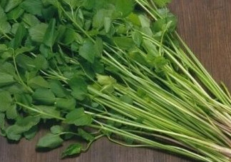 水芹菜是什么菜？水芹菜是野芹菜嗎