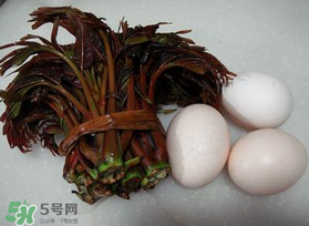 哺乳期可以吃香椿炒雞蛋嗎？哺乳期可以吃香椿炒雞蛋嗎？