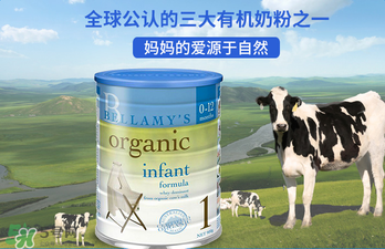 貝拉米奶粉報價多少？貝拉米奶粉價格多少？