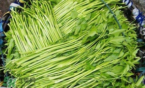水芹菜怎么吃？水芹菜的做法