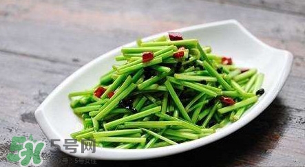 水芹菜孕婦能吃嗎？懷孕的人可以吃水芹菜嗎