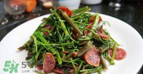 水芹菜孕婦能吃嗎？懷孕的人可以吃水芹菜嗎