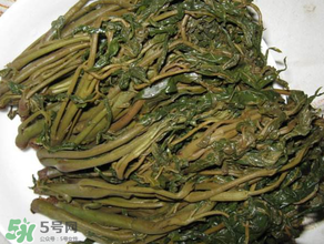 腌香椿要燙嗎？香椿腌之前用不用開水燙？