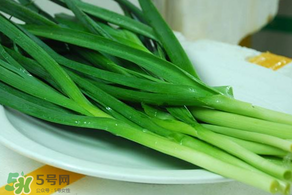 蒜苗發(fā)黃怎么回事？蒜苗發(fā)黃是什么原因？