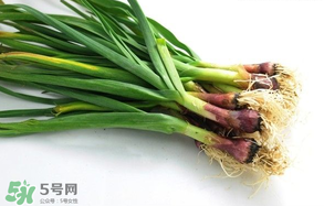 蒜苗多少錢一斤？蒜苗多少錢一斤2017？