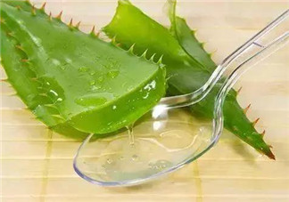 孕婦能喝蘆薈汁嗎？孕婦可以喝蘆薈汁嗎？