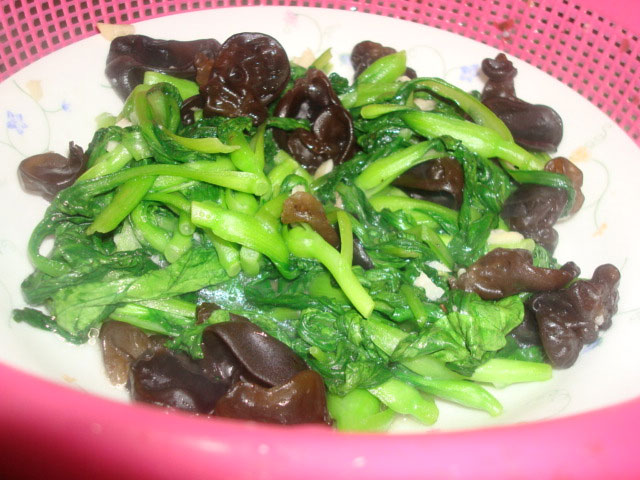 雞毛菜是什么菜？雞毛菜是小白菜嗎