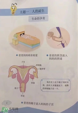 孩子瀏覽成人網(wǎng)站怎么辦？小學(xué)性教育有沒有必要？