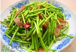 藜蒿葉子能吃嗎？藜蒿葉子可以吃嗎