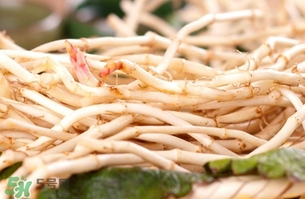 新鮮魚(yú)腥草怎么煮水？魚(yú)腥草怎么煮水喝