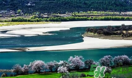 四月份去哪里旅游比較好？四月份最適合旅游的地方
