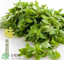 枸杞頭怎么吃？枸杞頭如何吃