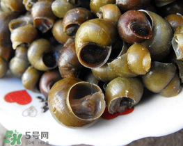 田螺可以凈化水質嗎？田螺能凈化水質嗎？