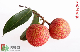 4月份有荔枝嗎？四月份有荔枝嗎？