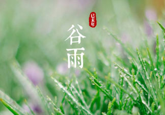 谷雨是什么季節(jié)？谷雨是春天還是夏天？