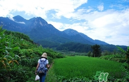四月份去哪里旅游比較好？四月份最適合旅游的地方