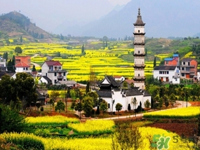 四月份去哪里旅游比較好？四月份最適合旅游的地方
