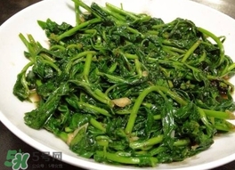 枸杞頭怎么吃？枸杞頭如何吃