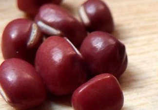 赤豆是什么豆？赤豆是紅豆嗎