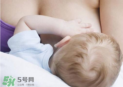 香椿會回奶嗎？吃香椿會回奶嗎？