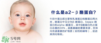 A2奶粉分幾種？A2奶粉有幾個種類？