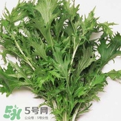 艾蒿能吃嗎？艾蒿能做菜吃嗎