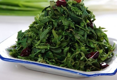 刺兒菜能吃嗎？刺兒菜可以吃嗎