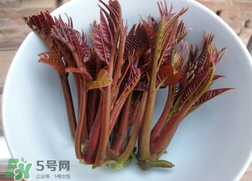 香椿和雞肉可同吃嗎？香椿和雞肉能一起吃嗎？