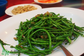 樹仔菜有毒嗎？樹仔菜有沒有毒？