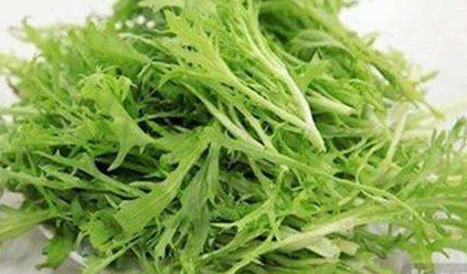 苦苣菜能生吃嗎？苦苣菜可以生吃嗎